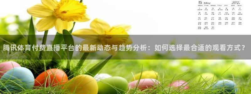 飞速直播nba：腾讯体育付费直播平台的最新动态与趋势分析：如何选择最合适的观看方式？