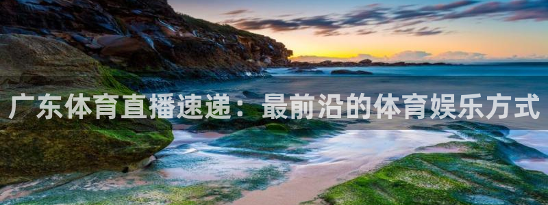 nba在线观看免费观看飞速直播：广东体育直播速递：最前沿的体育娱乐方式