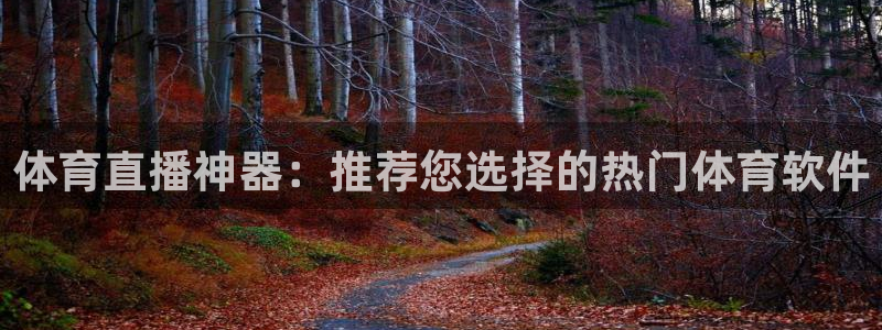 飞速足球直播官网：体育直播神器：推荐您选择的热门体育软件