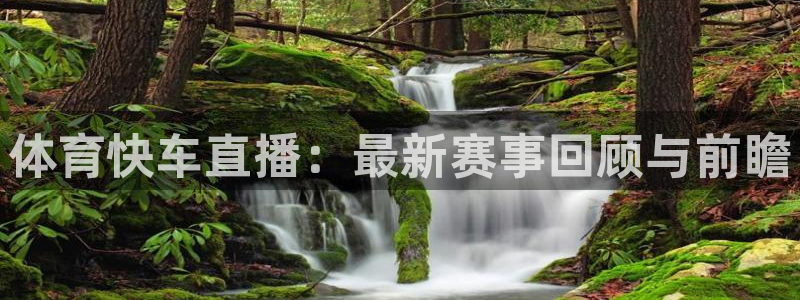 飞速足球直播吧：体育快车直播：最新赛事回顾与前瞻