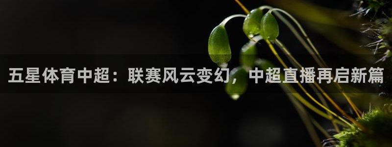 nba直播飞速：五星体育中超：联赛风云变幻，中超直播再启新篇