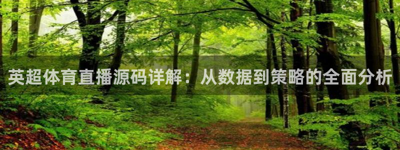 飞速nba直播吧：英超体育直播源码详解：从数据到策略的全面分析