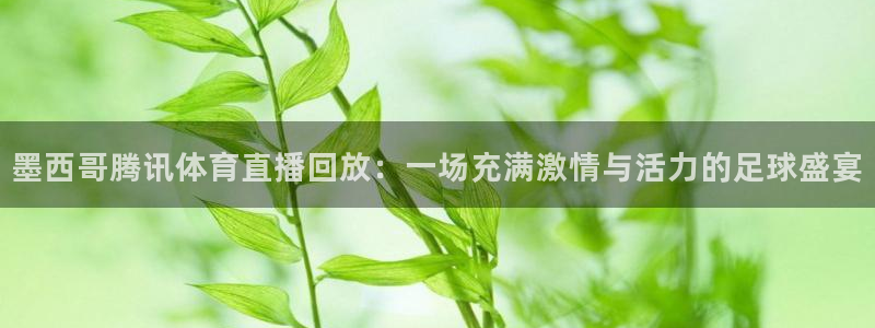 飞速直播nba在线观看：墨西哥腾讯体育直播回放：一场充满激情与活力的足球盛宴
