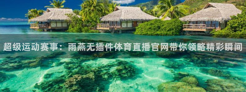 飞速足球直播：超级运动赛事：雨燕无插件体育直播官网带你领略精彩瞬间