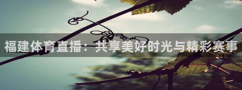 飞速nba直播吧